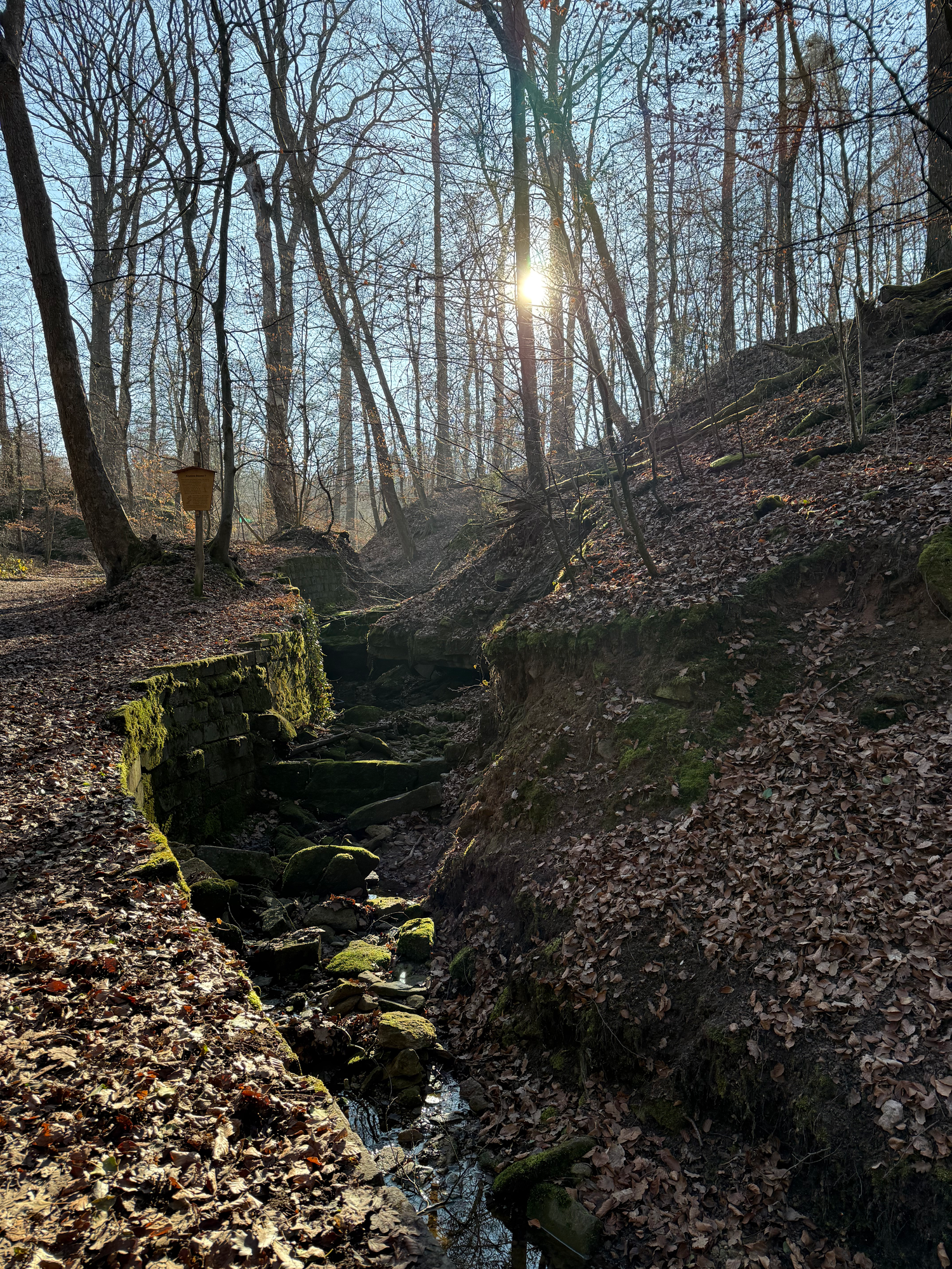 Natur für mentale Stärke